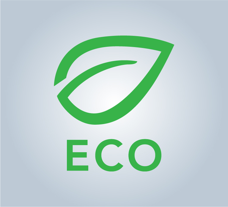 Eco Drive Assist